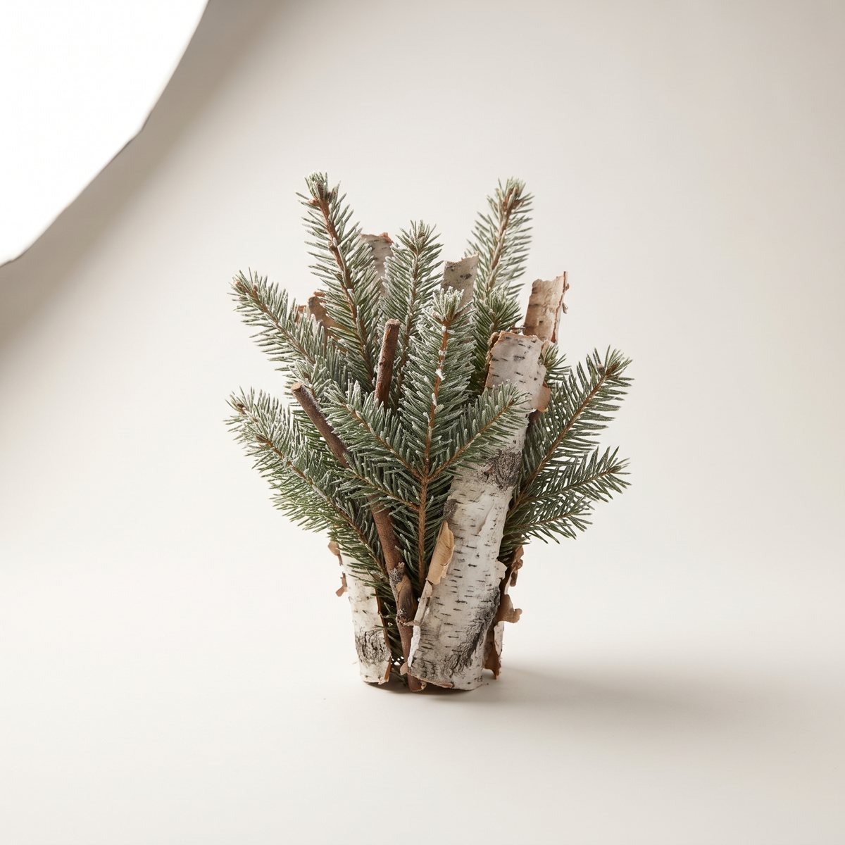 Balsam fir boughs and birch bark, frost on the needles