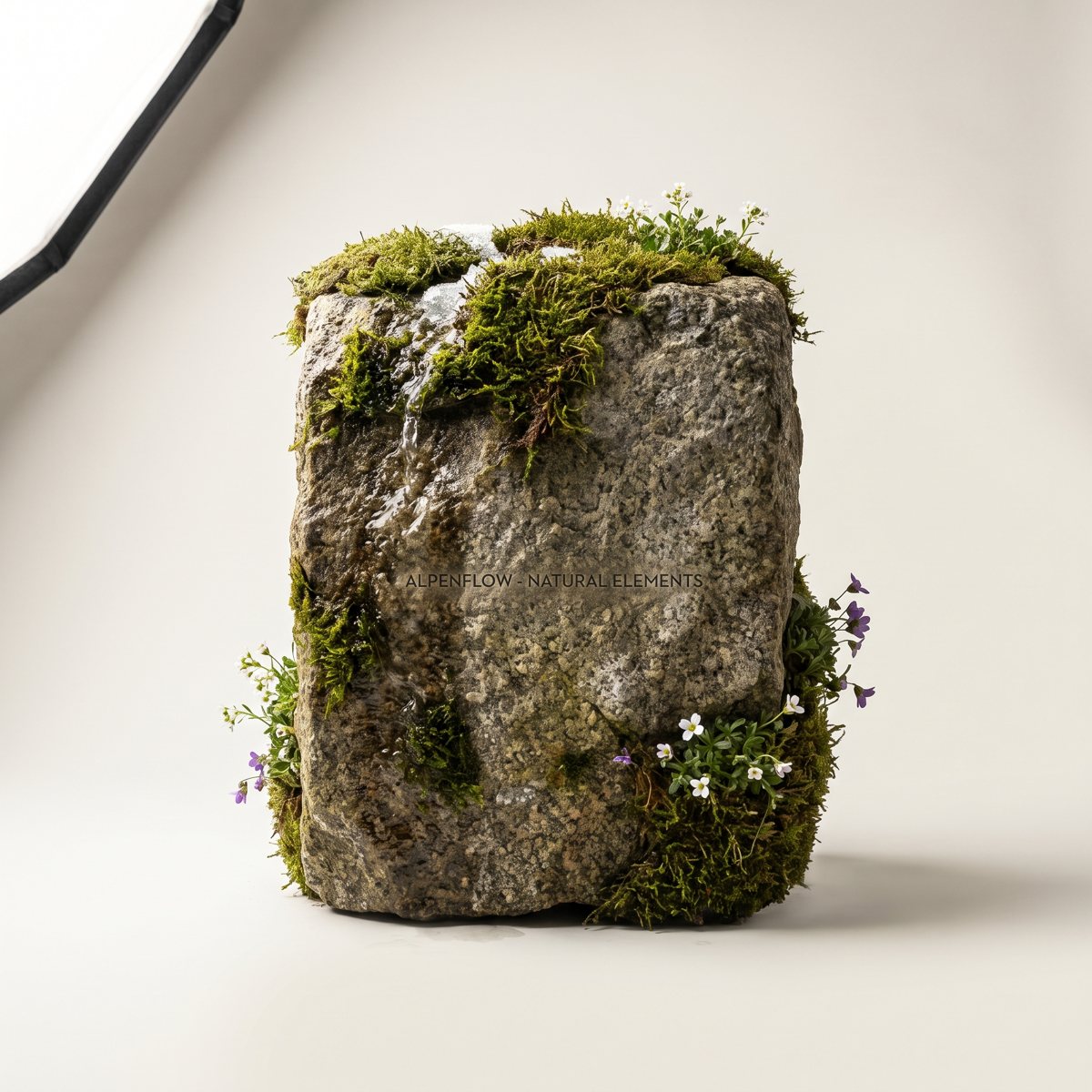 Wet moss on granite with snowmelt running over it