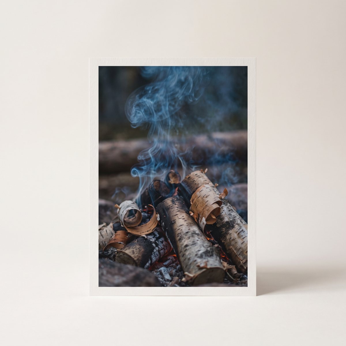 Thin smoke rising from a small birch fire at dusk