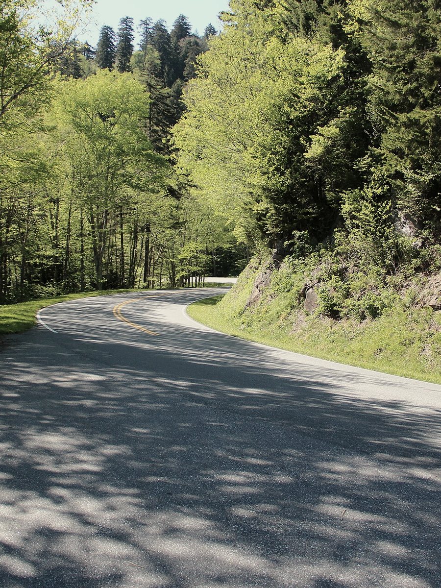The road climbing away from Newfound Gap through dense Smoky Mountain forest
